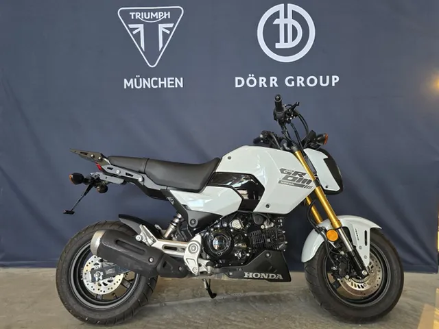 MSX 125 A TOP ZUSTAND! Kurzer Kennzeichentr&auml;ger!