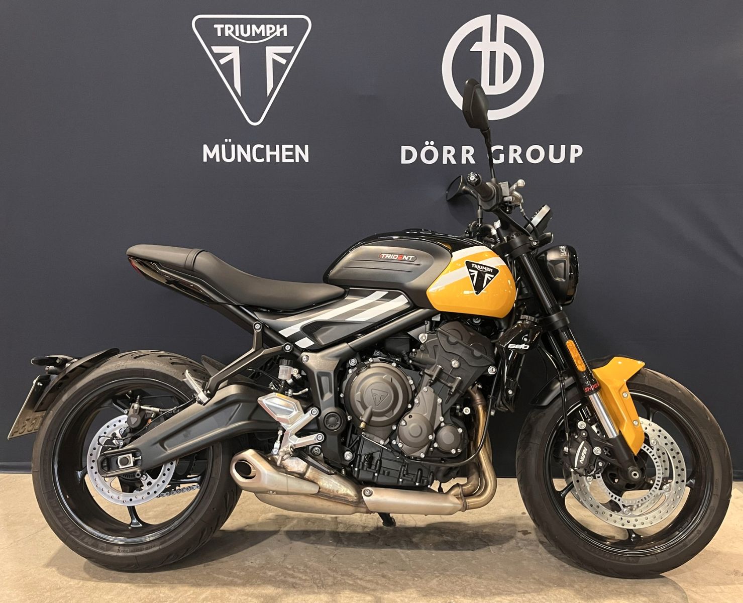 Trident 660 *Kurvenausklang* Detailbild