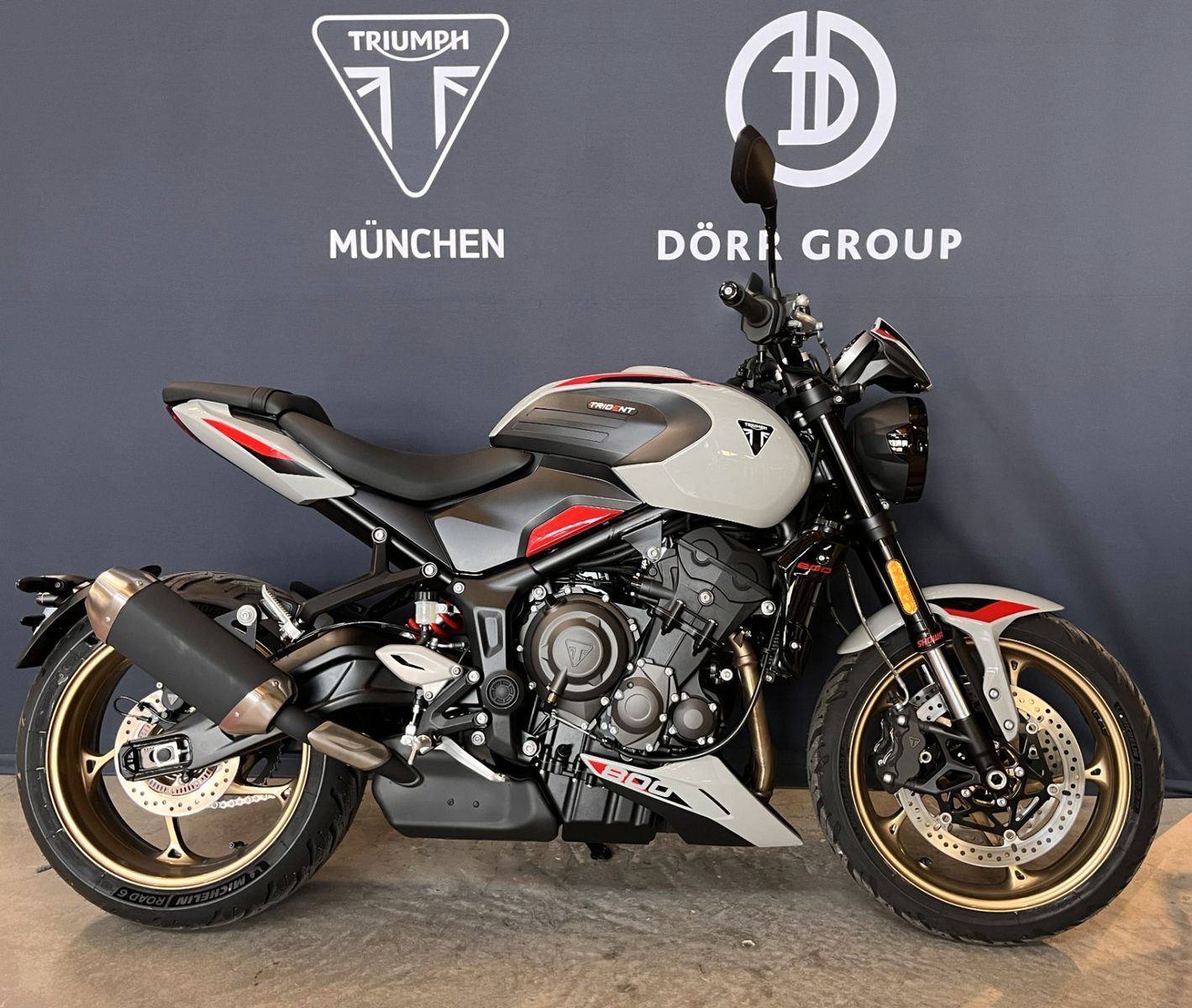 Trident 800 | Ash Grey Detailbild